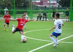 日大乐透期,号专家质合,分析,香港赛马会,赛程安排,赛果查询,马匹资料,赛事分析